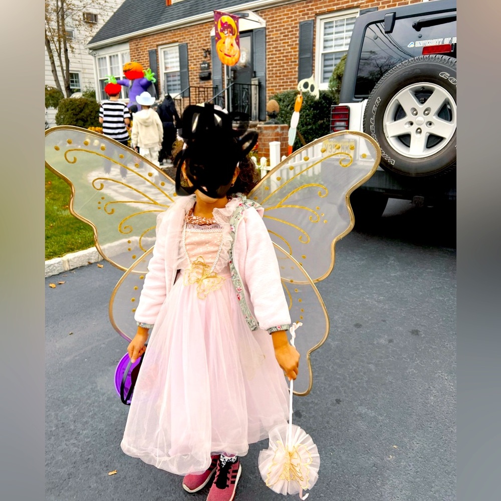 Girls fairy costume